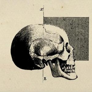 ガランド（翻自 初音ミク）