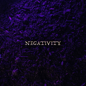 Negativity