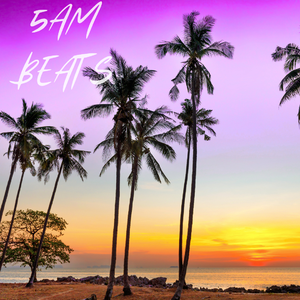 Rnb & West Coast Type Beat｜"Romantic LA"