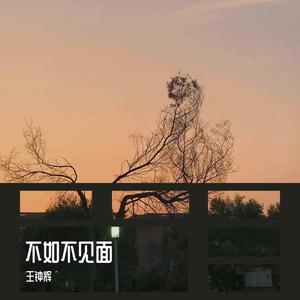 梁老师Tsong-不如不见面（王钟辉youngkboy/梁老师Tsong）（王钟辉 Remix）