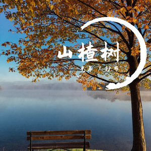 山楂树（翻自 周深）