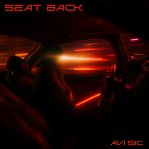 Seat Back