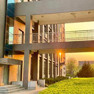 凤凰花开的路口