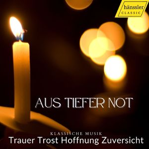 Erwünschtes Freudenlicht, BWV 184:Guter Hirte, Trost der Deinen (Chorus, Soprano, Bass)