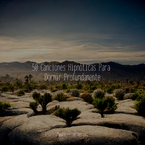 Ascenso Místico hacia la Felicidad