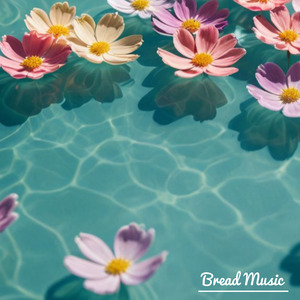 아침 안개 아래 수국