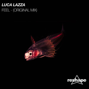 Feel (Original Mix)