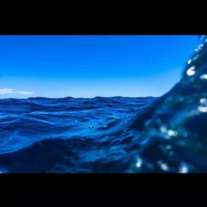 [FREE]你见过大海