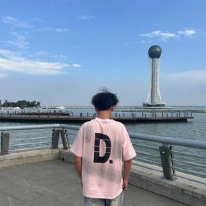 玉笛折柳