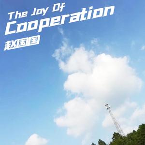 The Joy Of Cooperation (remix 正式版)