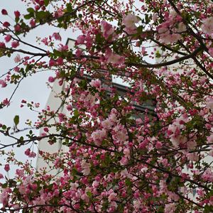 不会骗人的春天