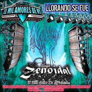 LLORANDO SE FUE