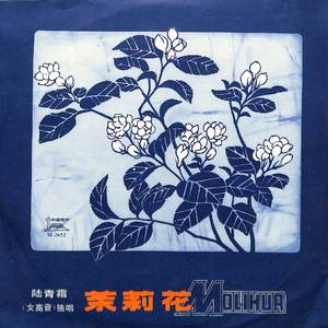 夜来香，你为什么夜里开放