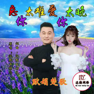 忘你太难爱你太晚