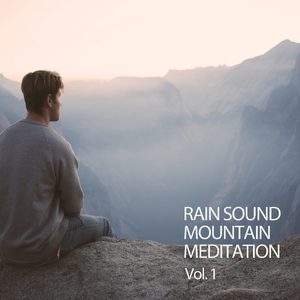 I Can'T Stand The Rain