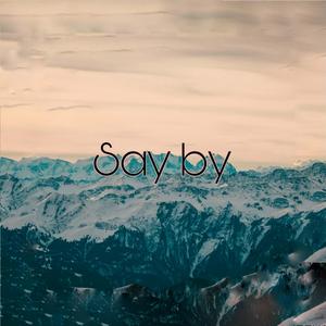 say by