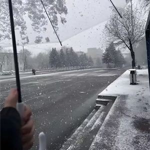 融不化的雪