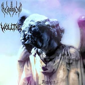 Agony (feat. Wölltke)