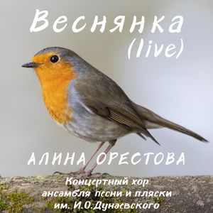 Веснянка (live)
