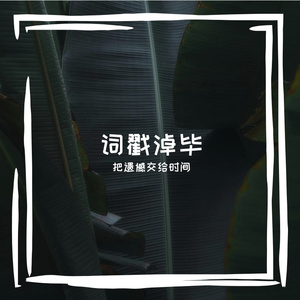 词戳淖毕
