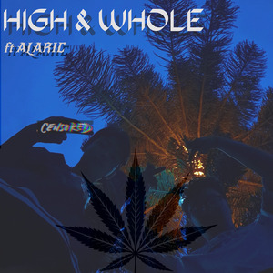 HIGH & WHOLE