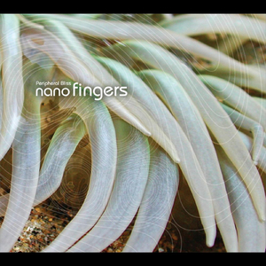 Nanofingers