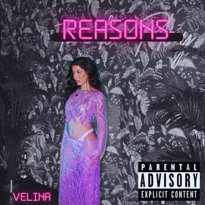 Reasons