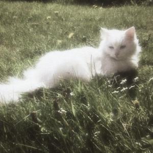 [Free]"白日梦"-Toosii x Lil Tjay Type Beat