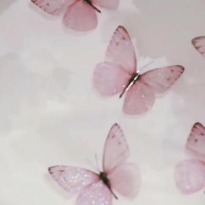 走马（cover陈粒）