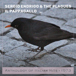 Il pappagallo Anthology of Italian Hits 1973