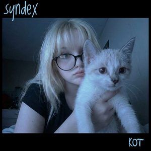 Кот