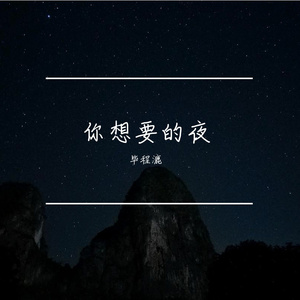 你想要的夜 伴奏