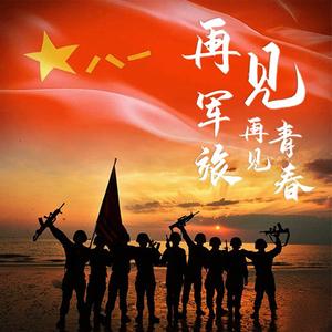 再见军旅，再见青春