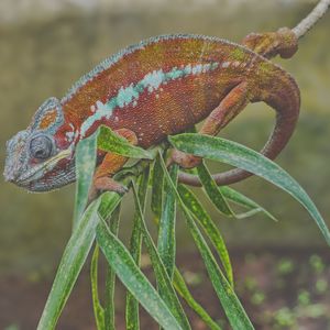 微妙的下班以后心情