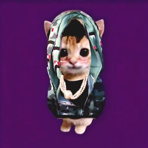 "DIM" Sasi x Travis type beat