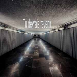 Tu devrais revenir