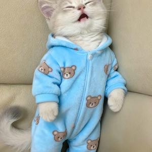 Frecuencia (sped up)