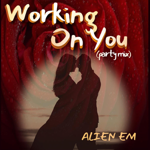 Working on You (Party Mix)