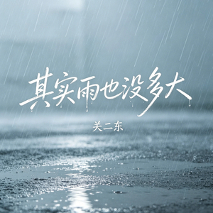 其实雨也没多大(DJ版)