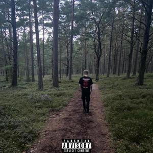 only want a girl like this (feat. seandesbarida)