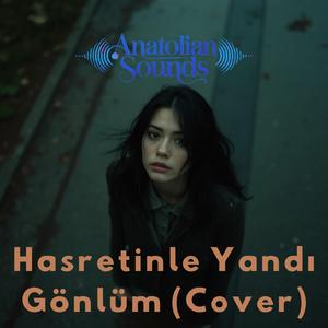 Hasretinle Yandı Gönlüm