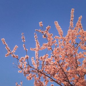 路口左转 就到春天