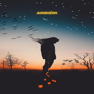 ANSIZIN