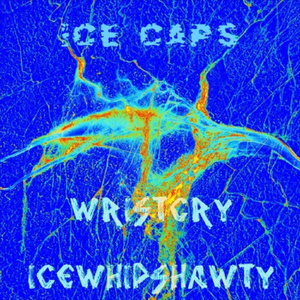 $nowLord$ (Prod. Bleach)