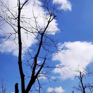 是回忆太讽刺
