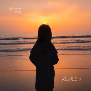 我无法靠近你