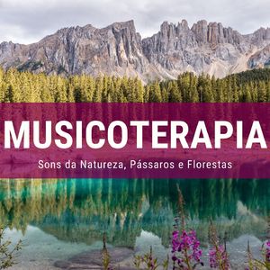 Pássaros e Florestas