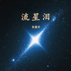孤单的夜晚