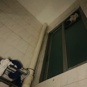 我希望着你希望的事hopelessness（intro）