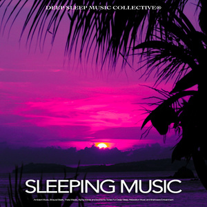 Binaural Beats Sleep Aid